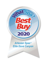 Best Buy Award