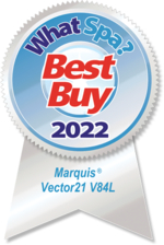 Best Buy Award
