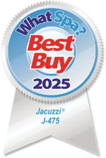 Best Buy Award