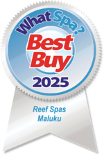 Best Buy Award