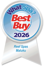 Best Buy Award