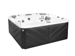 Sundance Spas 880 Series Optima